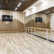 Dansspiegel in veiligheidsuitvoering