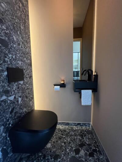 Toiletspiegel