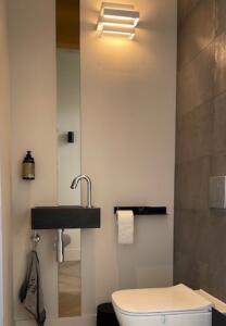 Lange smalle toiletspiegel verzilverd